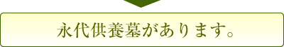 �i�㋟�{�悪����܂��B