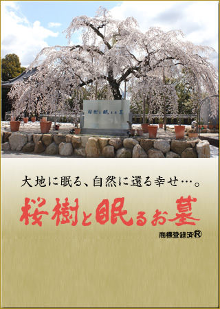 桜樹と眠るお墓