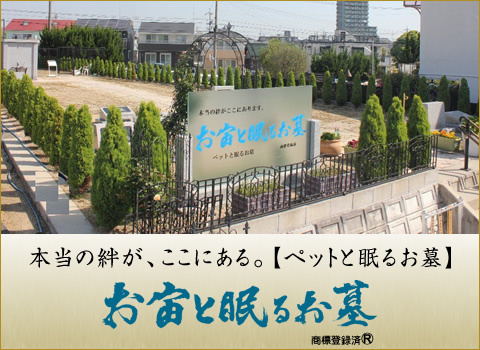 お宙と眠るお墓