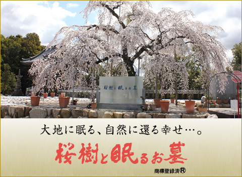 桜樹と眠るお墓